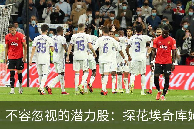 不容忽视的潜力股：探花埃奇库姆新赛季或将大展拳脚