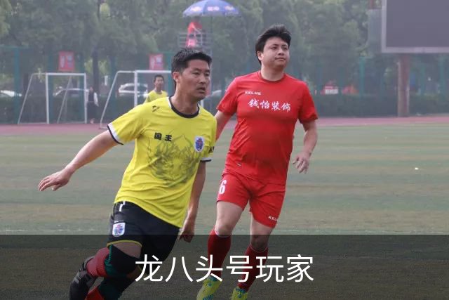 龙八头号玩家公司简介